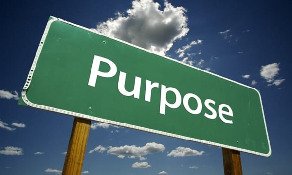 Company Purpose